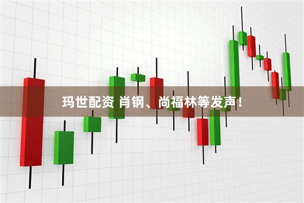 玛世配资 肖钢、尚福林等发声！