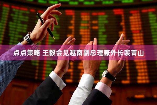 点点策略 王毅会见越南副总理兼外长裴青山