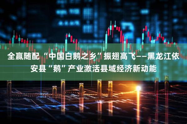 全赢随配 “中国白鹅之乡”振翅高飞——黑龙江依安县“鹅”产业激活县域经济新动能