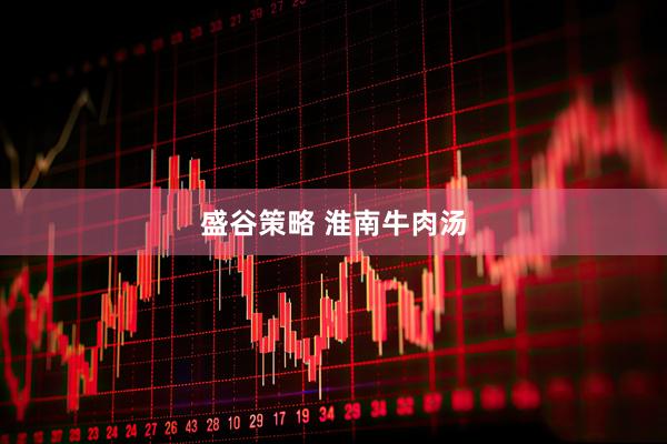 盛谷策略 淮南牛肉汤